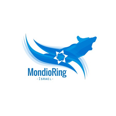 mondeo-ring4